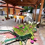 Exohi Sarti