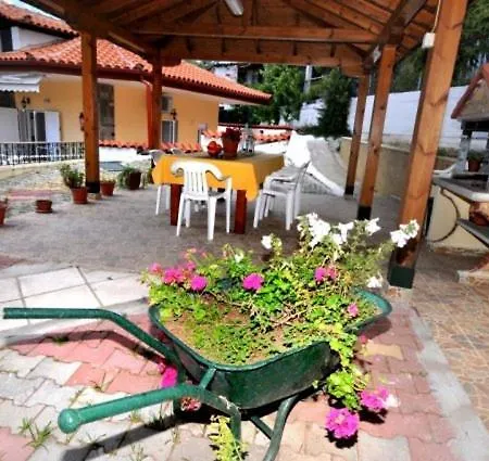 Exohi Sarti